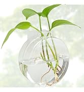 FOWSRHRG Propagation Stations with Adhesive Hook, Test Tube Propagation Station Wall Hanging Clea...