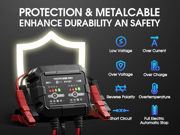 4A (2A/Bank) Car Battery Charger