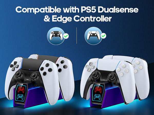 PS5 Controller Charger