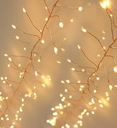 QBIS Fairy Lights Plug in Warm White Firefly Lights on Copper Wire, 10ft 240 LED Fairy Lights for...