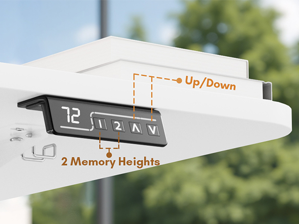 Electric Height Adjustable Standing Desk