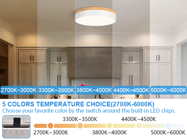 flush mount ceiling light