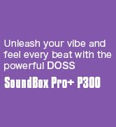 DOSS SoundBox Pro+ P300 Bluetooth Speaker