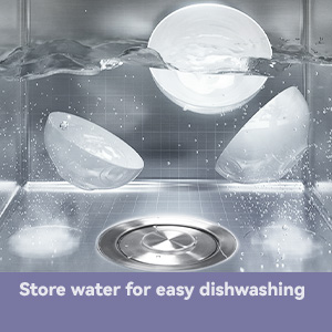 kitchen sink disposal