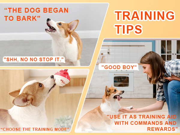 TRAINING TIPS