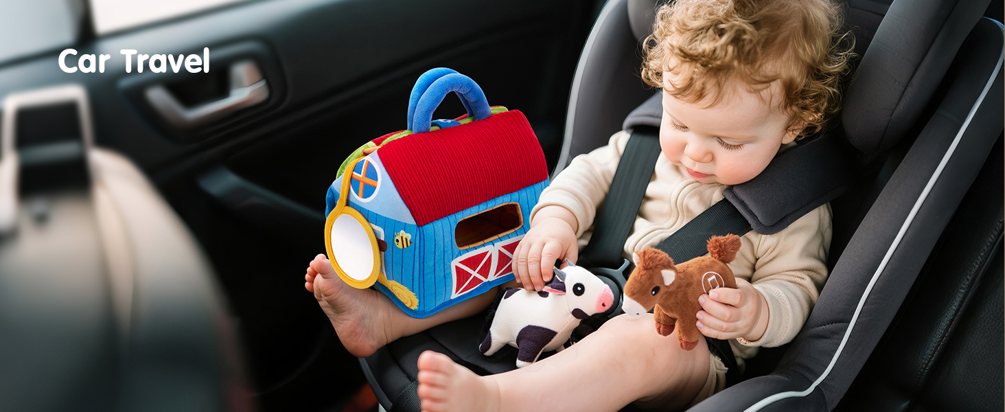 Baby Toys 6-12 Months