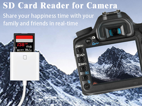 iPhone SD card reader USB C USB C SD card reader for iPhone15 USB C memory card reader for iPhone