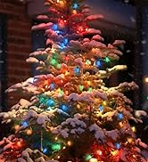 C9 LED Christmas Lights Outdoor Multicolor