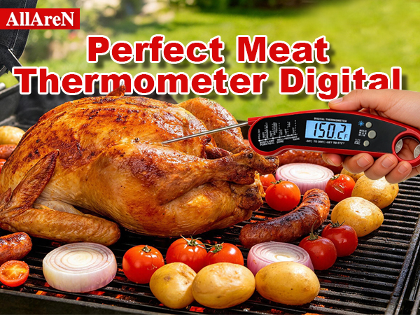 Meat Thermometer