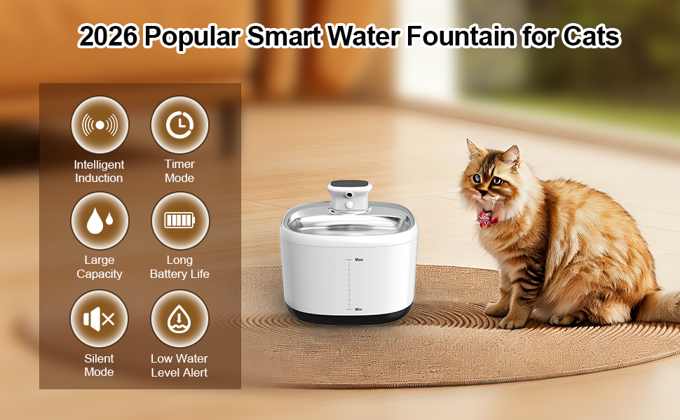 smart water fountain
