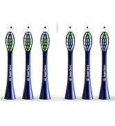 Replacement Toothbrush Brush Heads for Wagner &amp; Stern and Wagner Switzerland toothbrushes. (Blue)