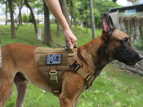 dog vest with handle