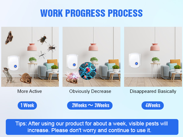 WORK PROGRESS PROCESS