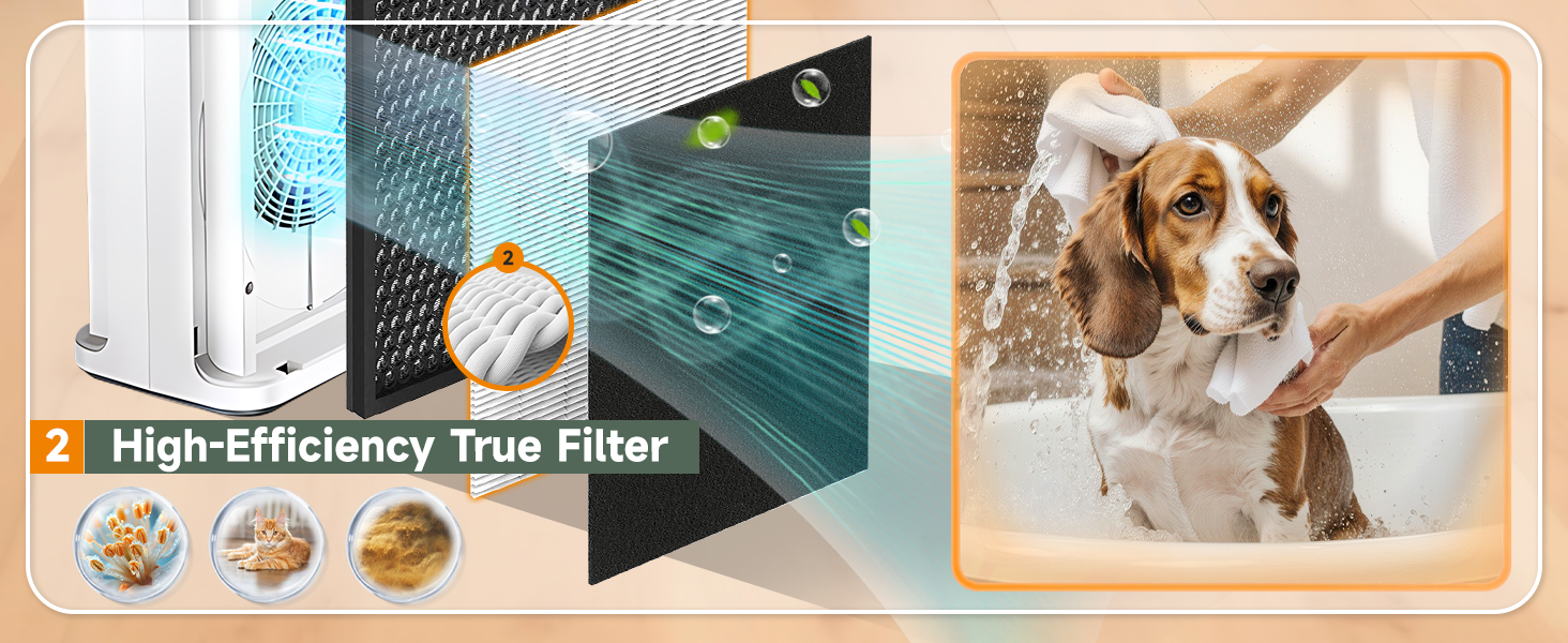 High-Efficiency True Filter