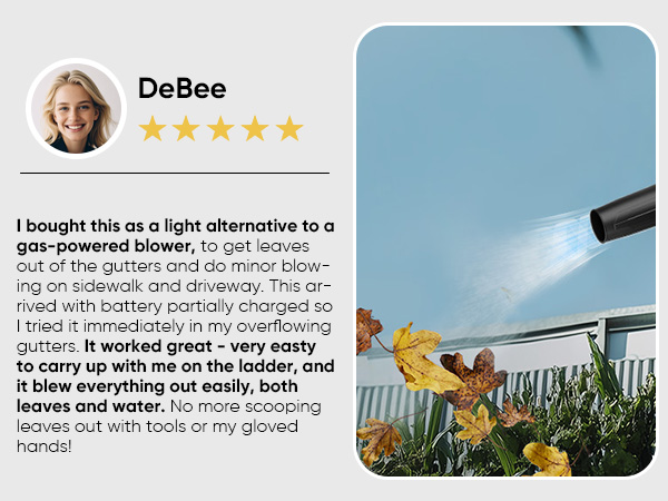 cordless leaf blower