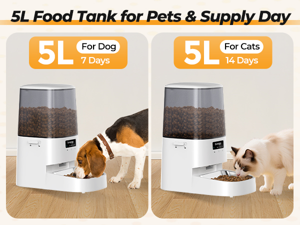 cat wet food automatic feeder
