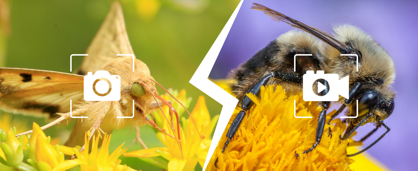 7 inch LCD Digital Microscope