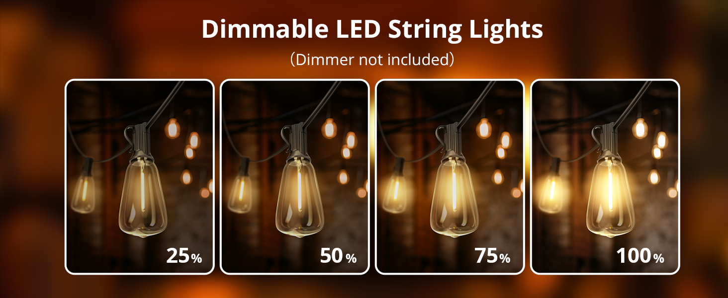 LED string lights outdoor
