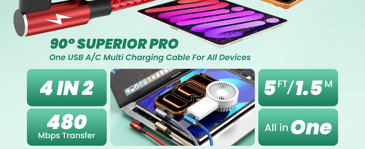 USB C Multi Charging Cable