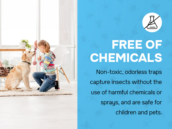 Fly Insect Trap Indoor with Night Light Plug in Bug Catcher, Pest Repeller Indoor