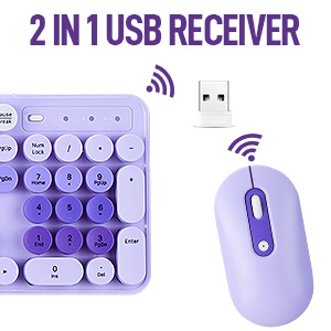 Wireless Keyboard and Mouse Combo,