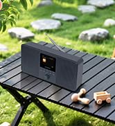 LEMEGA IR4S Stereo WiFi Internet Radio,FM Digital Radio, Spotify Connect, Bluetooth Speaker, Dual...