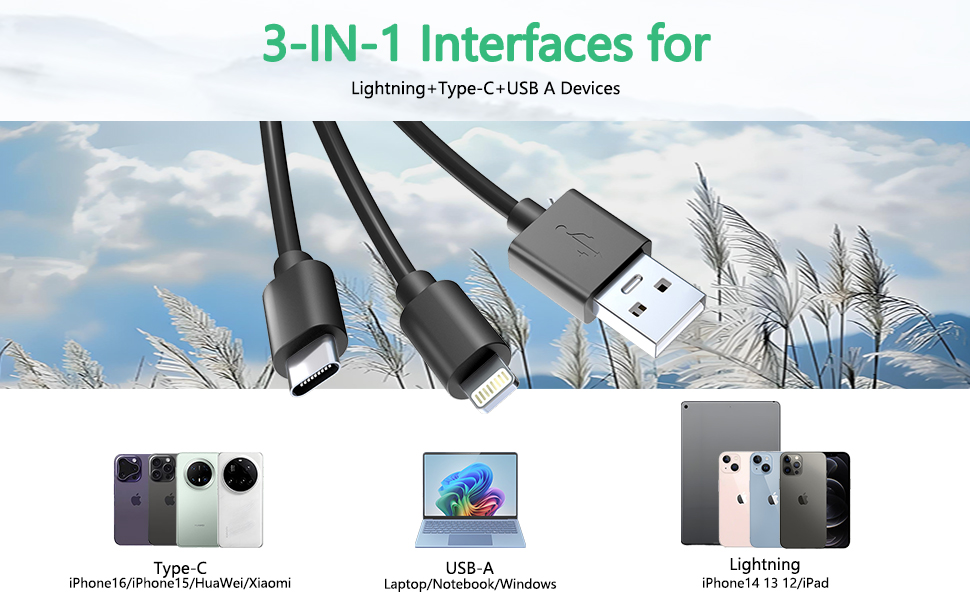 memory stick adapter