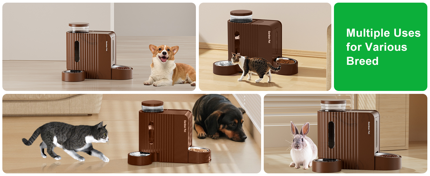 cat food gravity feeder