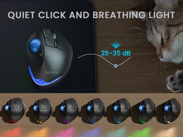 Wireless Trackball Mouse, Ergonomic Bluetooth Rechargeable Computer Mouse-Blue Ball