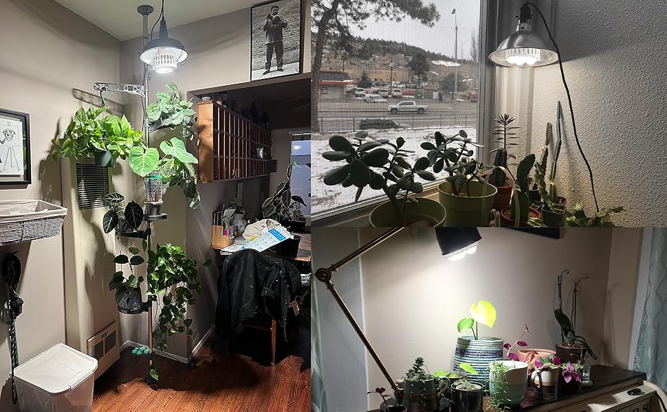 Grwoth lamp bulb hanging