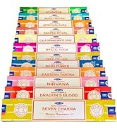 Nature’s Own Incense Sticks Variety Pack of -12 Set Nag Champa, Ayurveda, Nirvana, Tantra, Chakra...