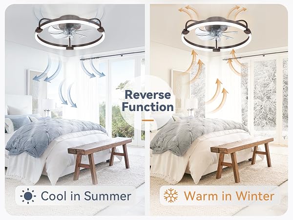 ceiling light with fan
