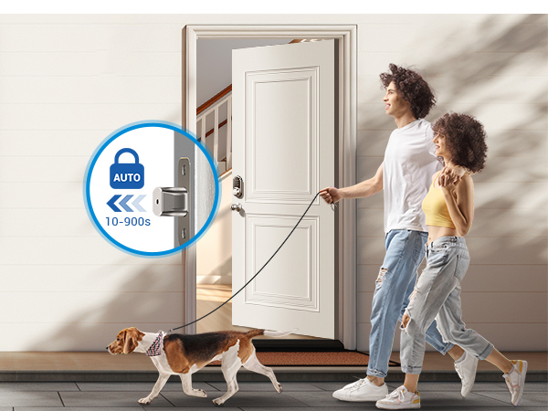 smart door lock with handle