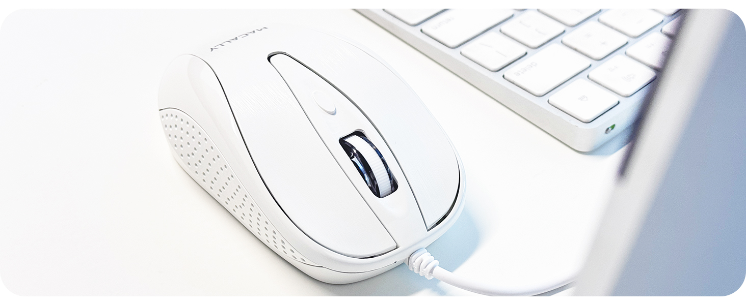 Mouse