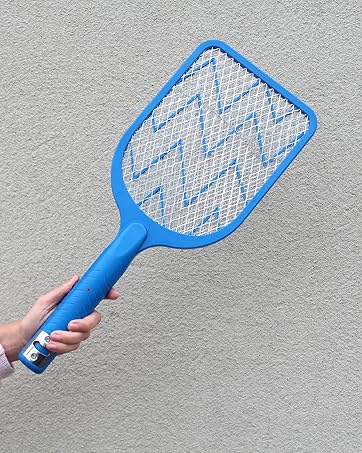 fly swatter