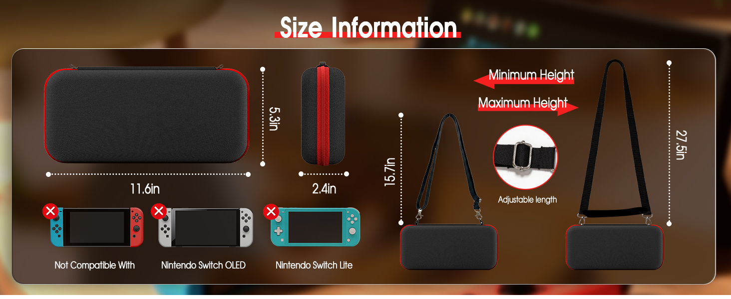 switch 2 carrying case