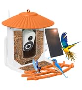 solar bird feeder camera