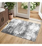 Entryway Rug 2x3 Grey Door Mat Indoor Entrance 24x36, Washable Small Throw Rugs for Kitchen Floor...