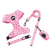 pink dog collar harness leash set