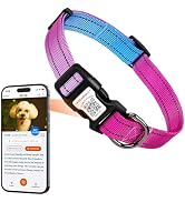 ILFINDYOU Personalized Dog Collars for Medium Dogs, Reflective Dog Collar QR Name Tags, Soft...