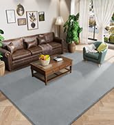 grey area rug for living room