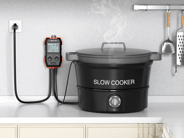 sous vide controller