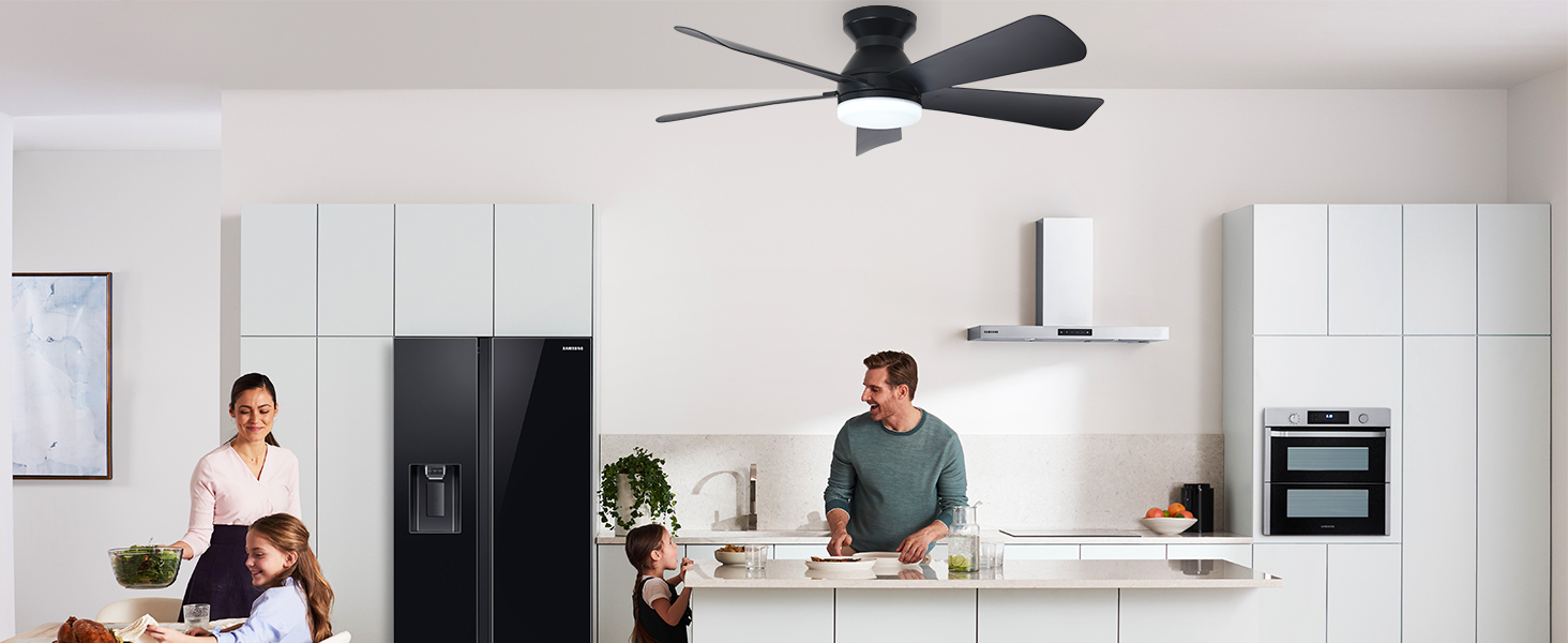 ceiling fan for kitchen