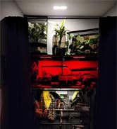 under counter lights
