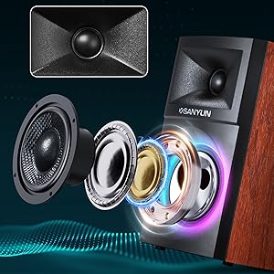 Carbon Fiber Woofer &amp;amp; Silk Dome Tweeter | Accurate Sound Reproduction