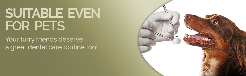 mastermedi dental oral care kit