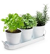 Hiceeden Set of 3 Herb Garden Planter, Indoor Herb Pots with Drainage Holes, Metal Windowsill or ...