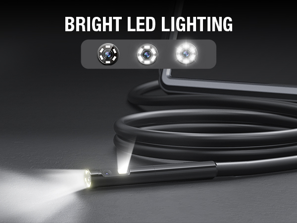 Adjustable LED Lights