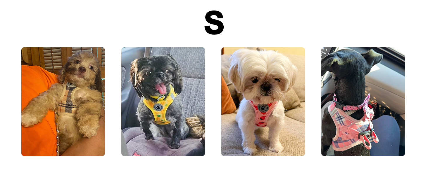 dog harness and leash set