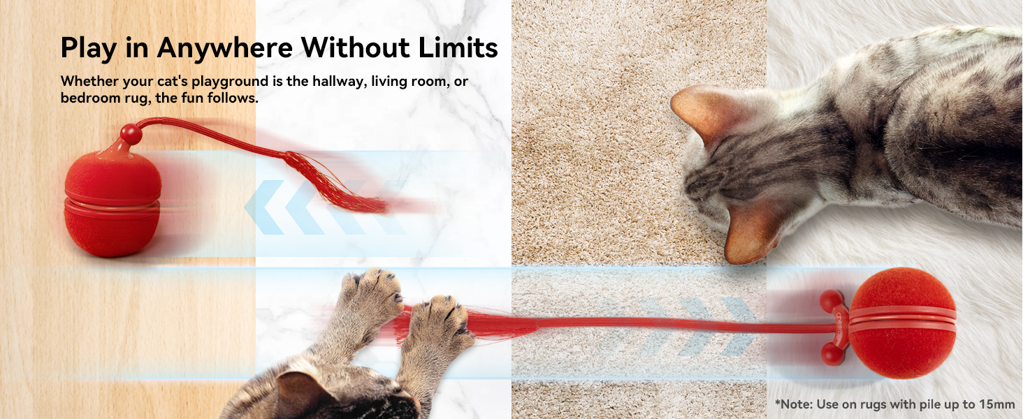 automatic cat toy